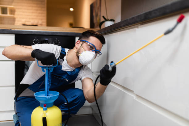 Best Bed Bug Extermination  in Bnchard, LA