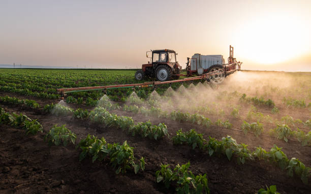Best Commercial Pest Control Services  in Bnchard, LA