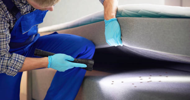 Best Pest Inspection Near Me  in Bnchard, LA