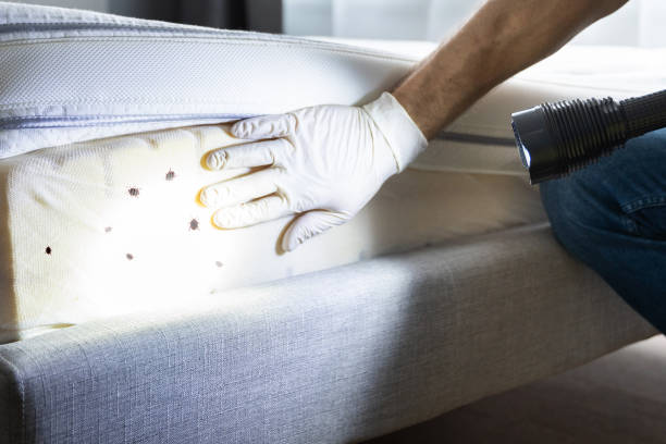 Best Pest Control Cost  in Bnchard, LA