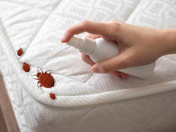 Best Commercial Pest Control Services  in Bnchard, LA