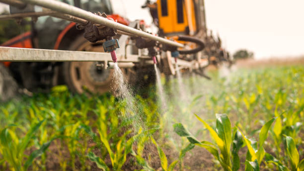 Best Pest Control for Homes  in Bnchard, LA