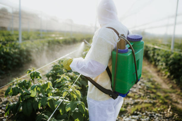 Best Affordable Pest Control Services  in Bnchard, LA